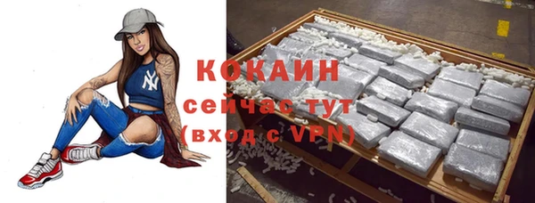 амф Магас