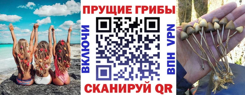 что такое наркотик  дарк нет клад  Галлюциногенные грибы Psilocybine cubensis  Лянтор 
