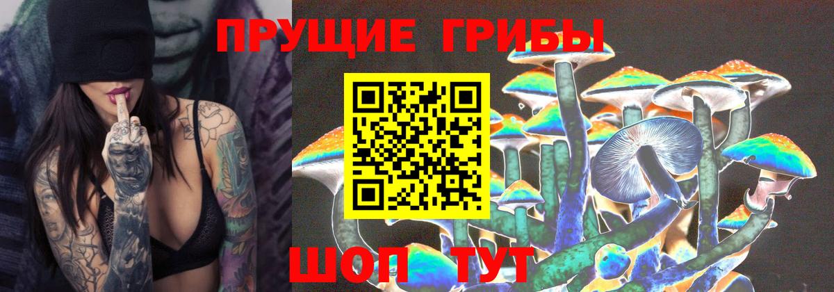 Псилоцибиновые грибы Psilocybe  сколько стоит  Вход с VPN  Лянтор  Галлюциногенные грибы Cubensis 